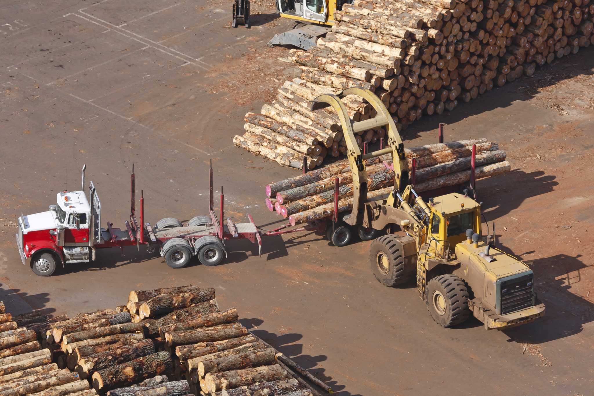 Unlocking barriers to timber industry - feature photo