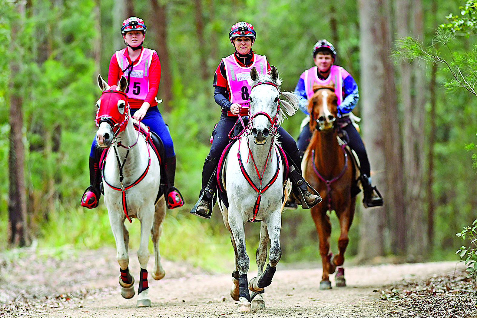 Trail ride hits the heights - feature photo