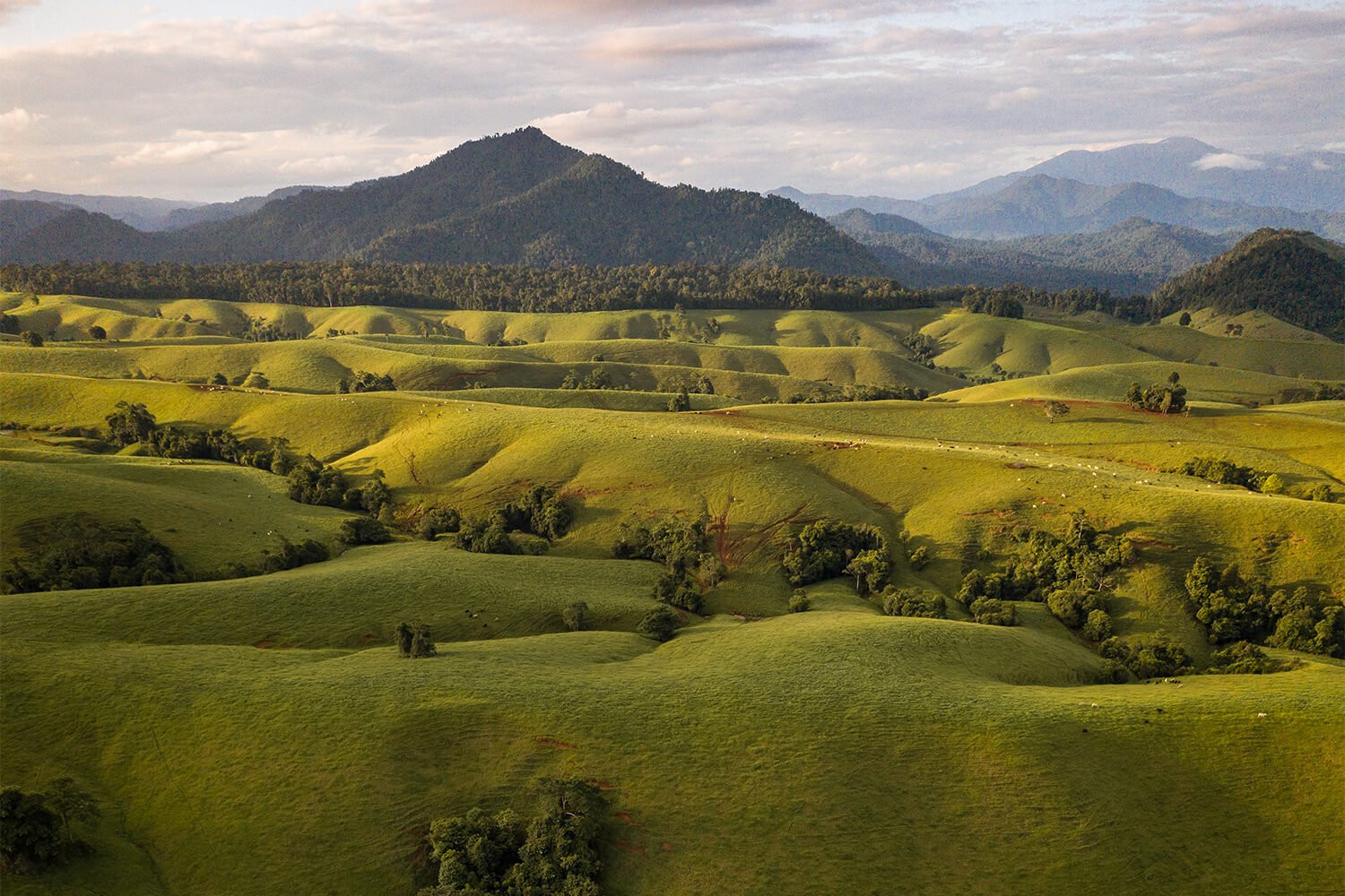 Malanda, photo by Tropical North Queensland Tourism