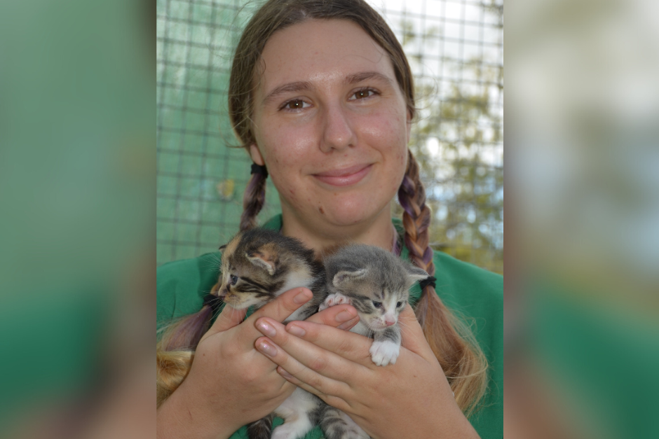 Felicity Pollard with two-week-old kittens which are part among the 60 cats currently in the refuge’s care