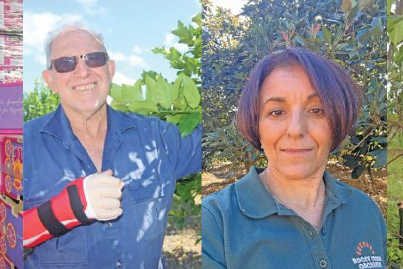 AWARD NOMINEES: From top left – Gina Galati, Josh Maunder, Oscar Bugno and Lorraine Stopford have all been nominated for the 2023 Charlie Nastasi Horticultural Farmer of the Year award.