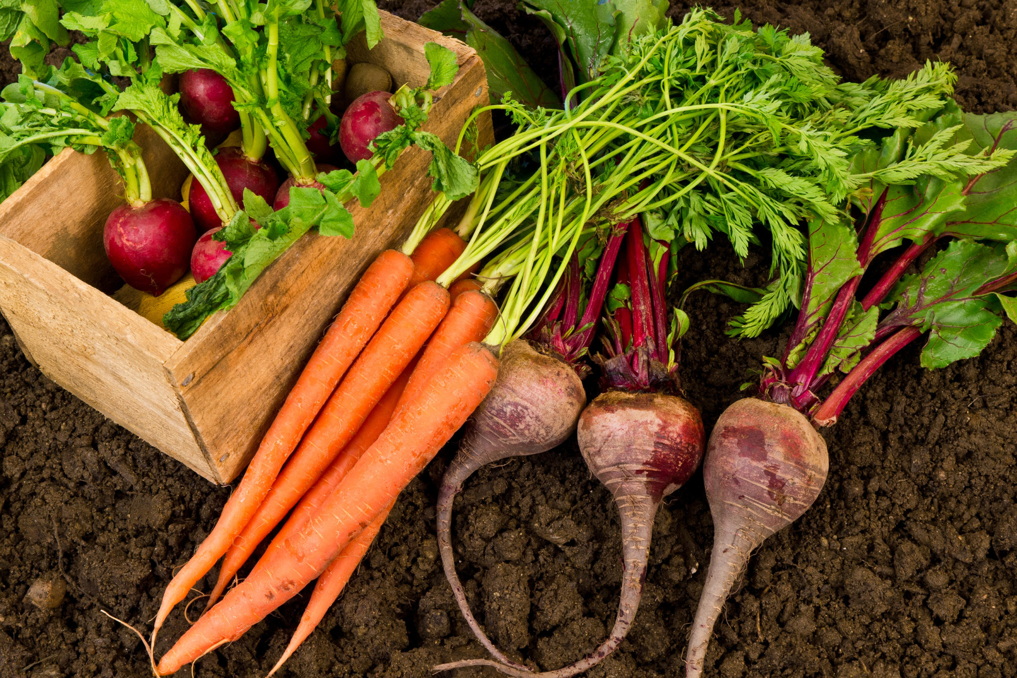 Vegie goodness labelling boosts sales - feature photo