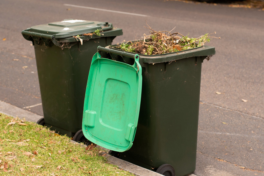 Green waste on increase - feature photo