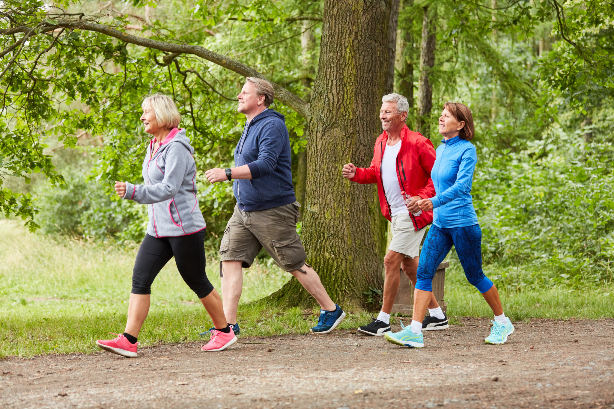 Wind farm walk for a good cause - feature photo