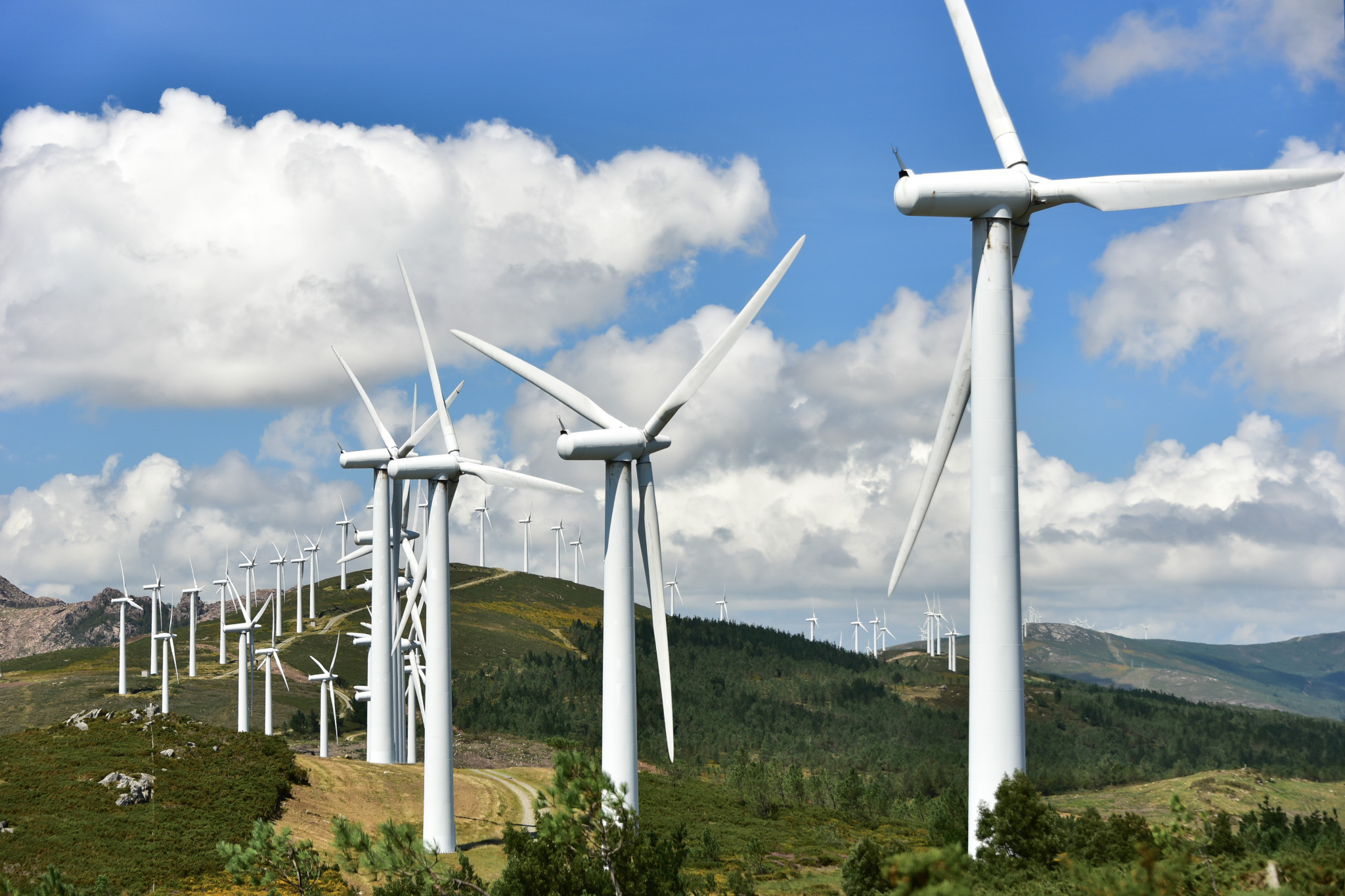 Wind farm framework under review - feature photo