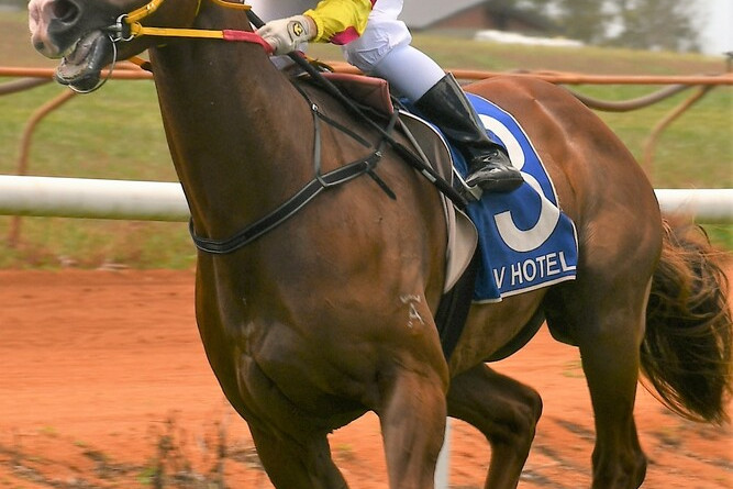 Tablelands Christmas Races 2021