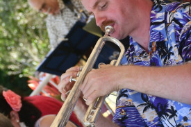 Raymond Cupitt was part of the band who entertained the crowd on Sunday