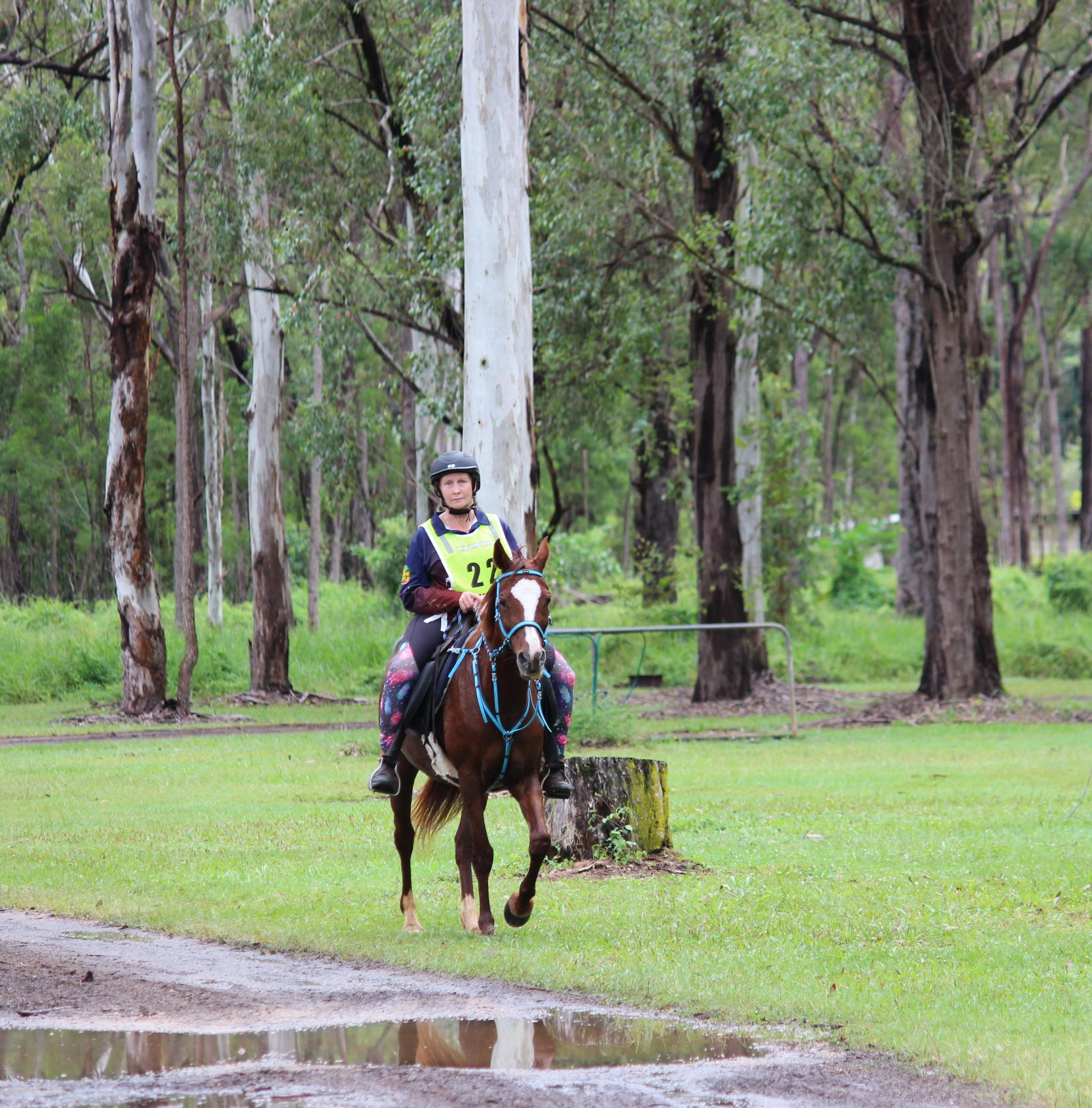 Robyn Rath riding Psyofia.