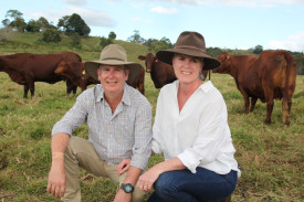 Michael Moss and Kylie Richardson travelled from Cairns were impressed with the Tallangalook Shorthorns and Santa Gertrudis cattle.