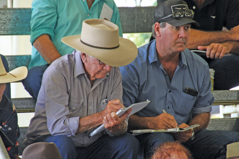 Doug and Stan Keough bought two bulls for “Welcome Downs” Station Einasleigh, including the $37,500 Big Town son, Telpara Hills Rancher 541S19.