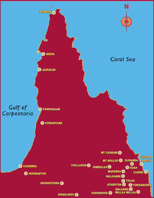 the-express-fnq-delivery.png