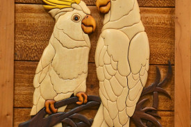 white-cockatoos.jpg